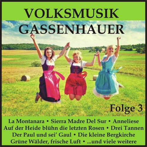 Flammende Herzen - Song Download from Volksmusik Gassenhauer, Folge 3 ...