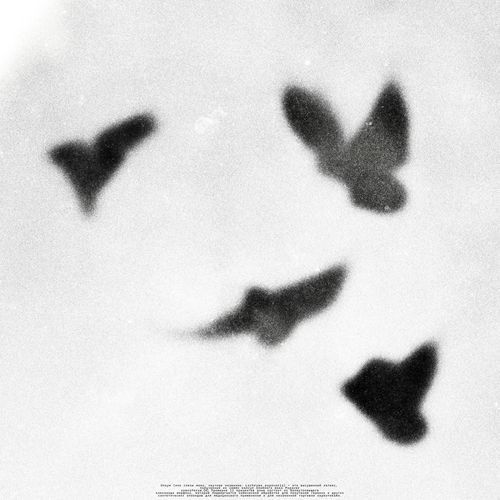 let me cover art