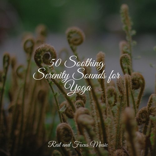 50 Soothing Serenity Sounds for Yoga