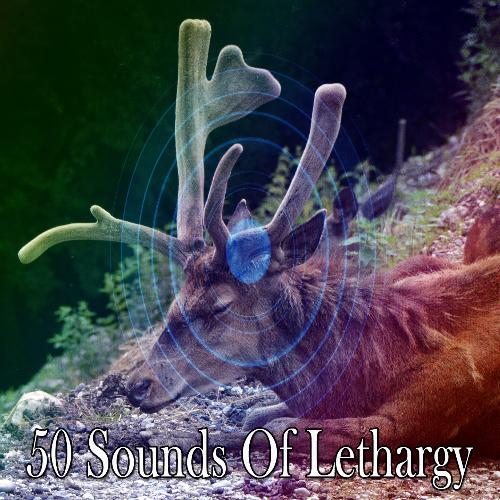 50 Sounds of Lethargy