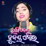 Bhangidelu Hrudaya Mora