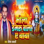 Bhola Damru Wala A Baba