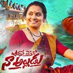 CHICKEN YE THESTHADO NA ALLUDU