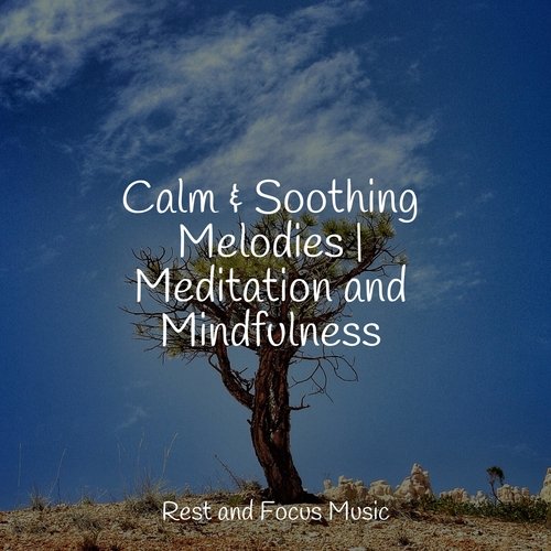 Calm & Soothing Melodies | Meditation and Mindfulness