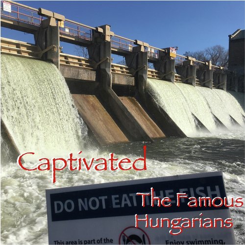 Fake Blonde cover art