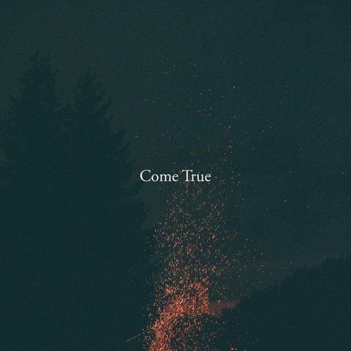 Come True_poster_image