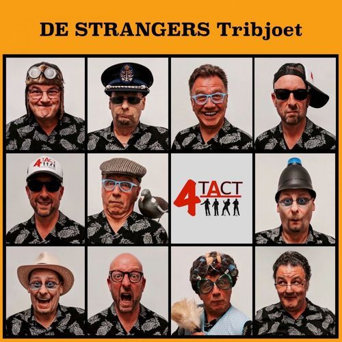 Rock En Roll Medley / Virginieke / Warrek vraa / n Rettepetet / Crème-glace / Ongezondheidsrock / Z.A.T.L.A.P. cover art