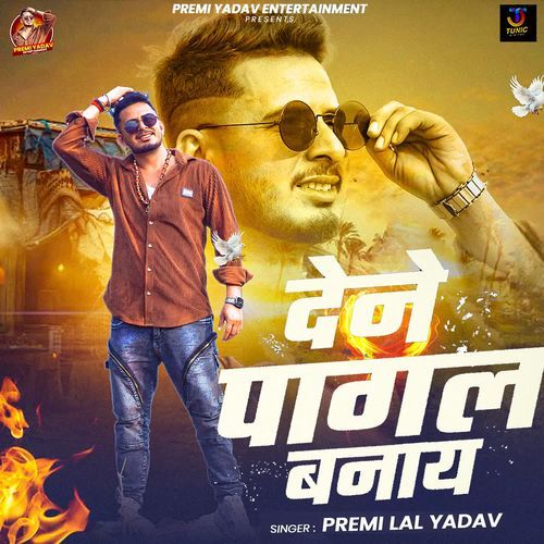 Dene Pagal Banaye