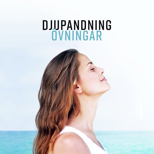 Progressiva avslappning cover art
