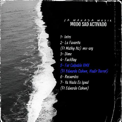 Fui Culpable (Remix) cover art