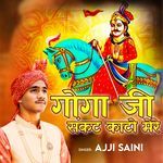 Gogaji Sankat Kato Mere