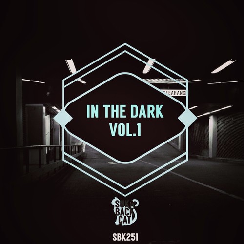 In the Dark, Vol. 1