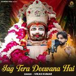 Jag Tera Deewana Hai