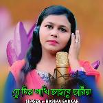 Jedin Pakhi Jaibe Sariya