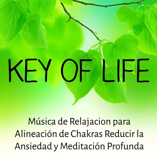 Key of Life - Música de Relajacion para Alineación de Chakras Reducir la Ansiedad y Meditación Profunda