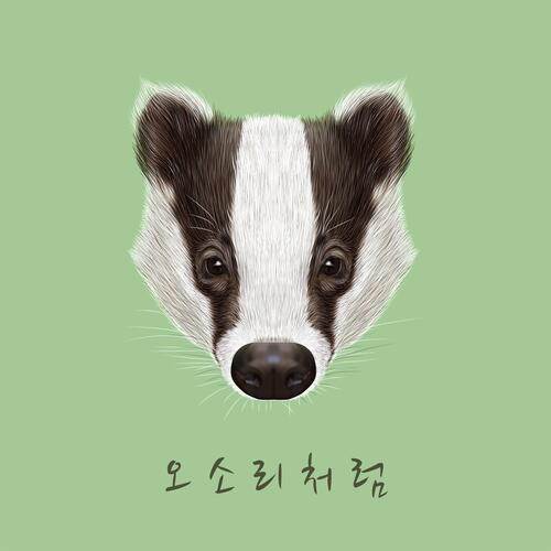 Like a badger cover art