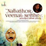 Nallathor Veenai Seithe