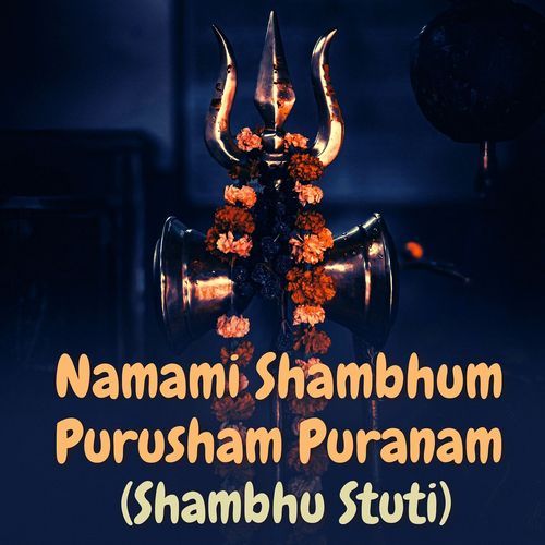 Namami Shambhum Purusham Puranam (Shambhu Stuti)