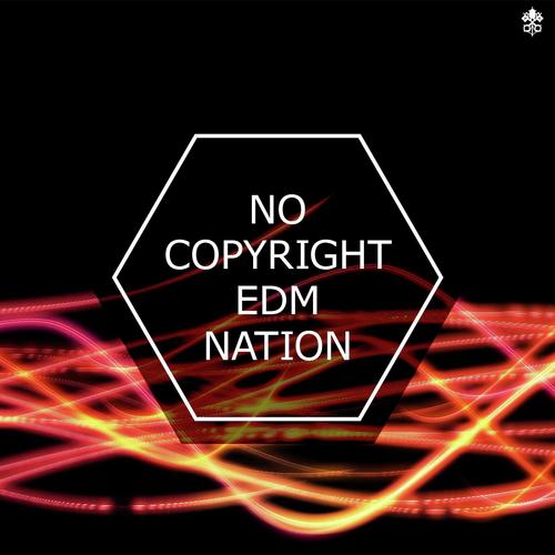 No Copyright EDM Nation