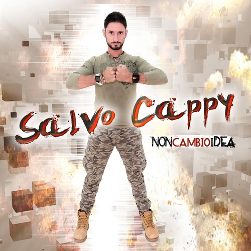 Il triangolo cover art