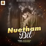 Nuetham Dil