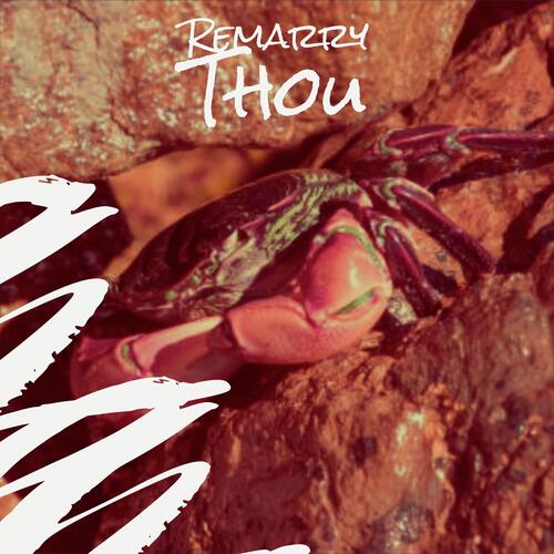 Bountiful Goofy cover art