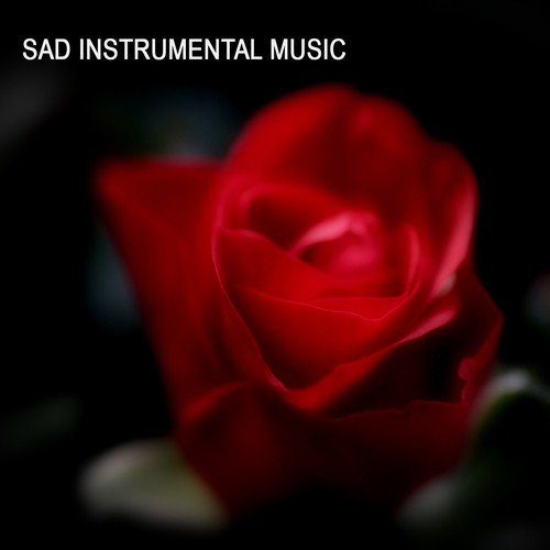 Sad Instrumental Music - Instrumental Music Songs_poster_image