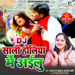 Sali Holiya Mein Ailu DJ