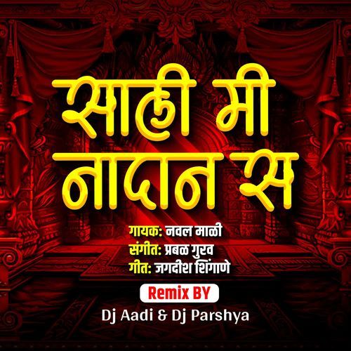 Sali Mi Nadan Sa (Dj Aadi & Dj Parshya)