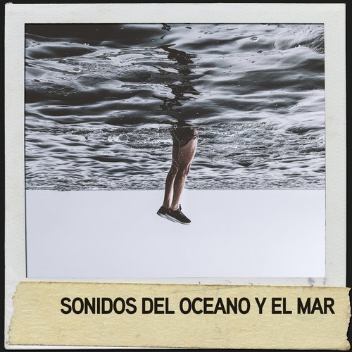 Olas de Relajación cover art