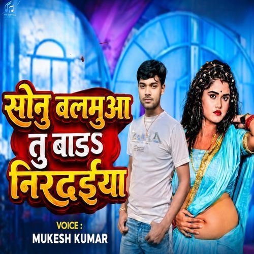 Sonu Balamu Tu Bada Nirdaiya