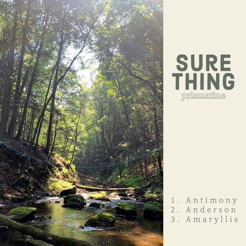 Anderson cover art
