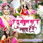 Tu Gokul Ka Guwala Hai (Hindi)