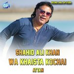 Wa Khaista Kochai (Attan)