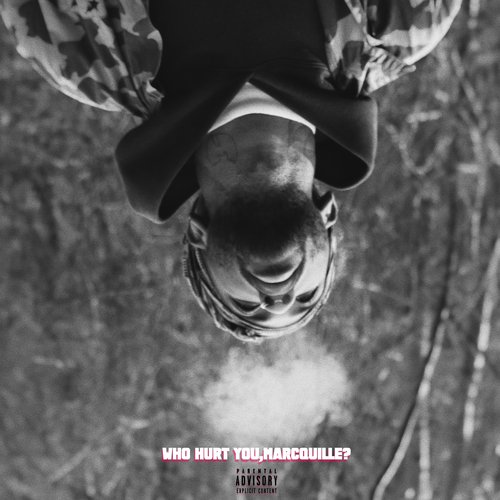 Opinions cover art