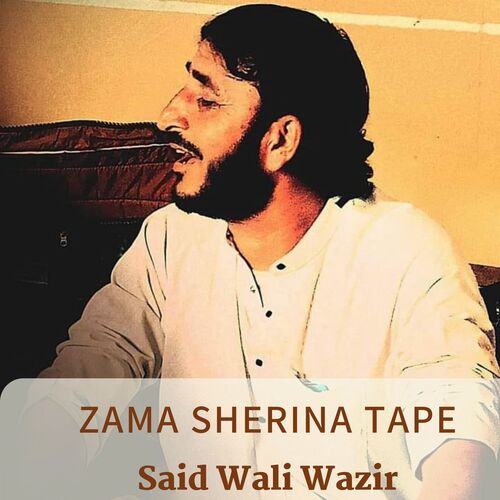 Zama Sherina Tape_poster_image