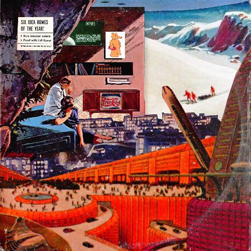 birds503 cover art