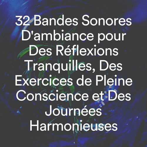 32 Bandes Sonores D'ambiance pour Des Réflexions Tranquilles, Des Exercices de Pleine Conscience et Des Journées Harmonieuses