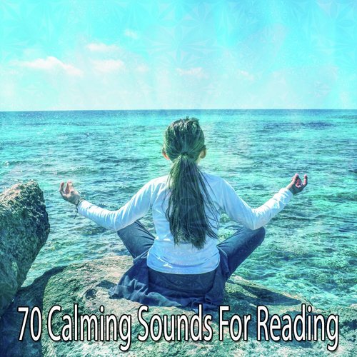 70 Calming Sounds For Reading