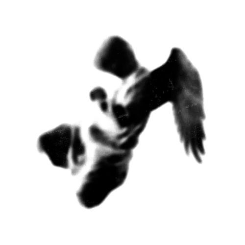 Lynne cover art