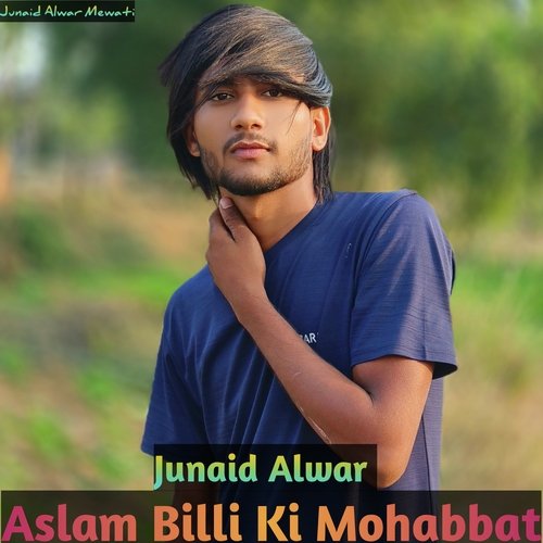 Aslam Billi Ki Mohabbat