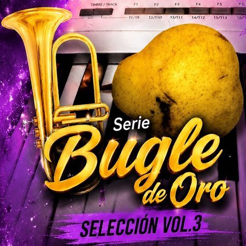 Bugle de oro Vol.3 (Instrumental)