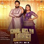 Chail Gelya Jangi LoFi