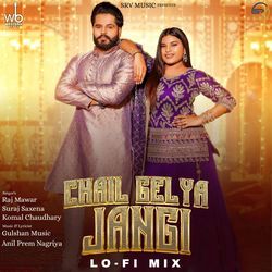 Chail Gelya Jangi LoFi