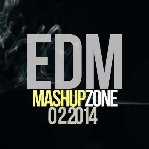 EDM Mashup Zone 02.2014 (Mashup Remix)