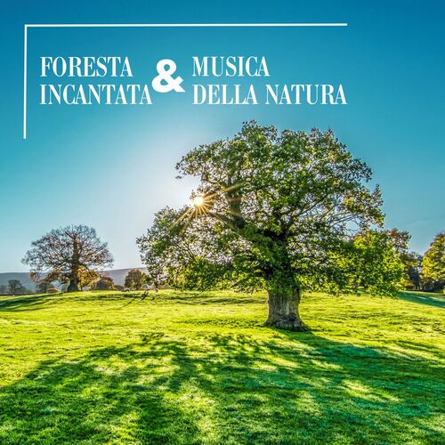 Foresta incantata cover art