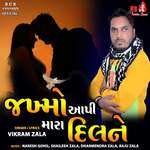 Jakhmo Aapi Mara Dil Ne