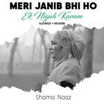 Meri Janib Bhi Ho Ek Nigah Karam (Lofi-Mix)