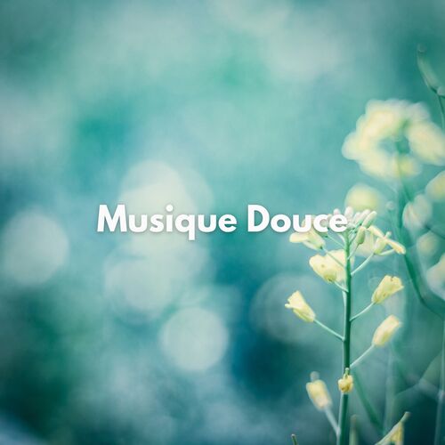 Musique douce_poster_image