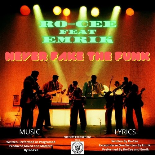 Never Fake the Funk (feat. Emrik) cover art